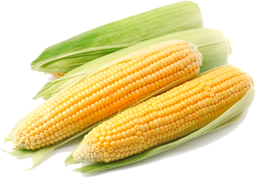 Corn - Сладкая Кукуруза (1000x721)