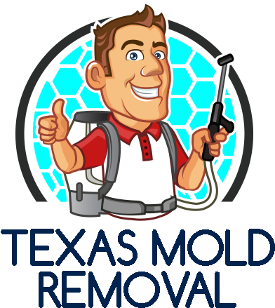 Texas Mold Removals - Pest Control (600x600)
