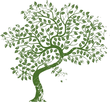 Bent Tree Clipart - Tree-free Greetings Eco-notes Thank You Card Set, 4 (382x352)