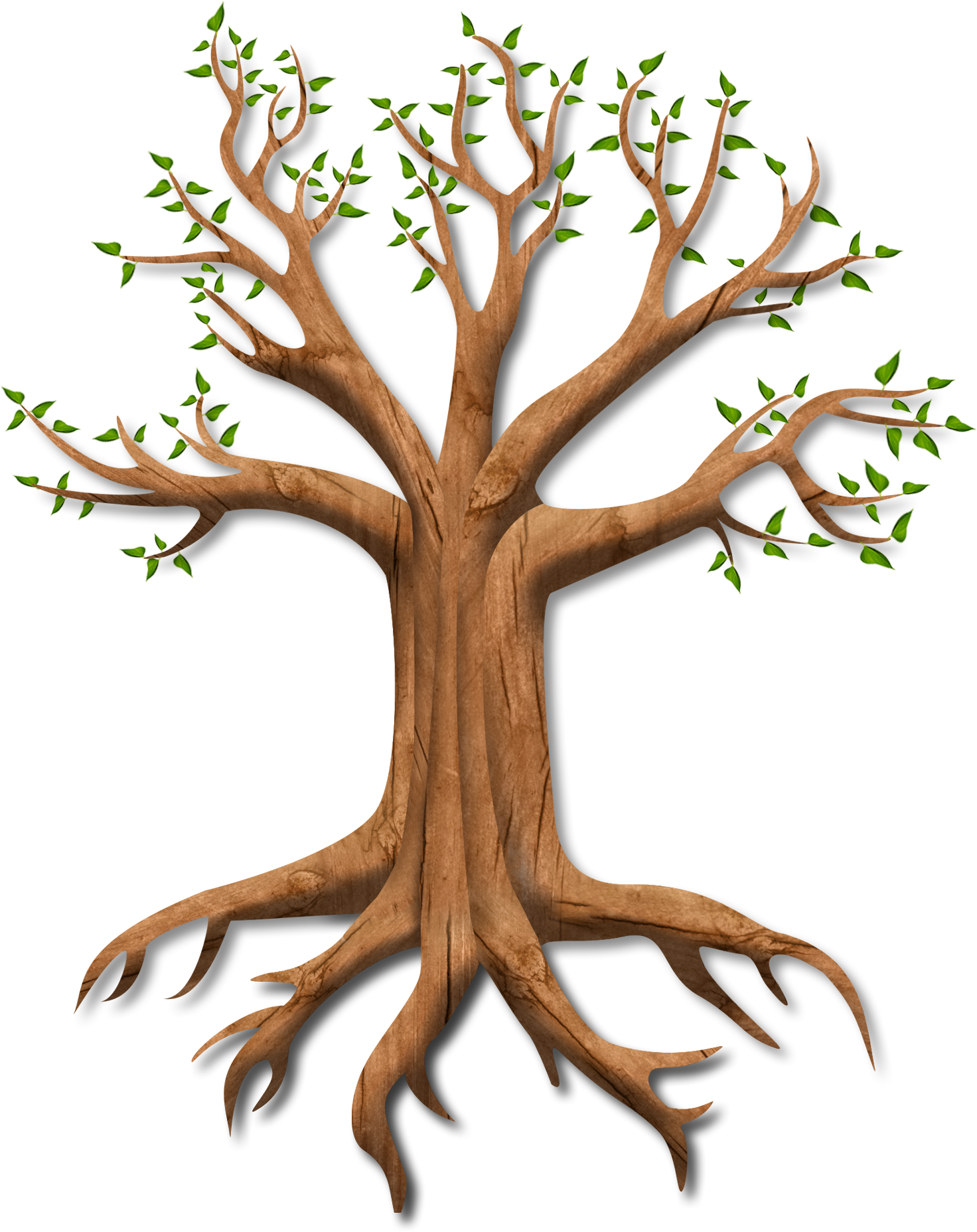 Tree - Tree (1472x1856)