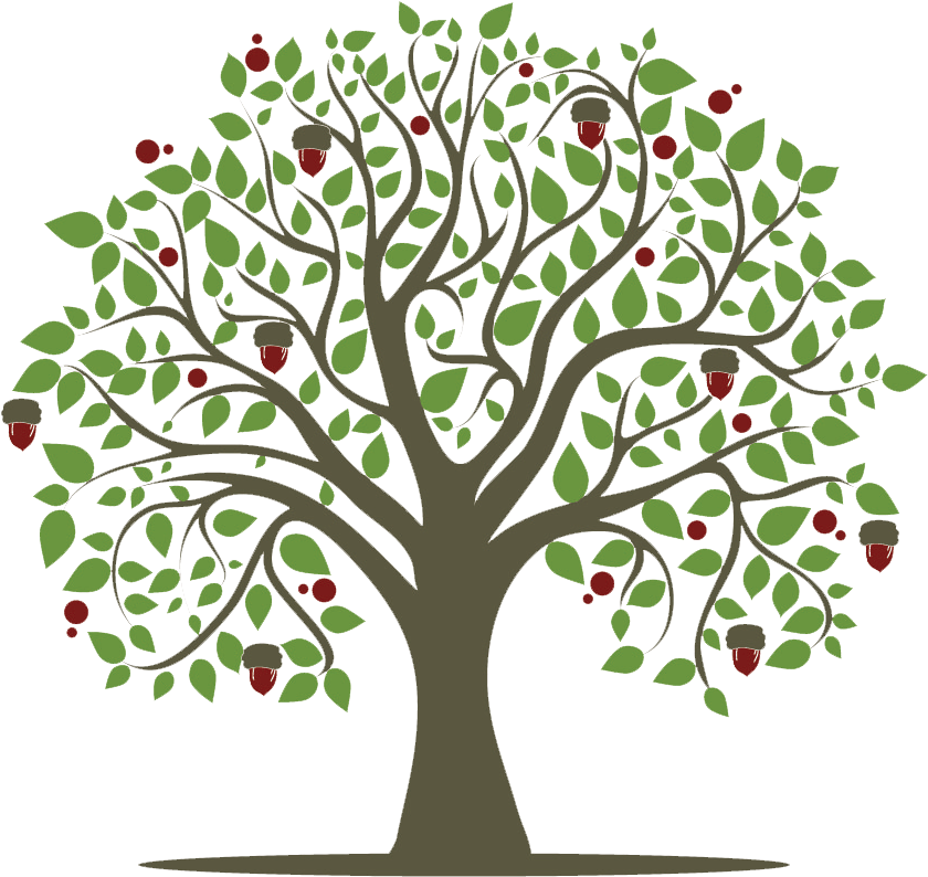 How To Help Oak - Transparent Background Tree Clipart (839x843)