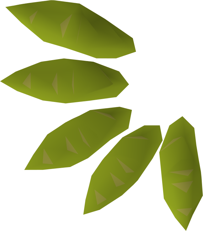 A Willow Seed May Be Grown Into A Willow Tree Using - Willow Tree Seed (647x734)