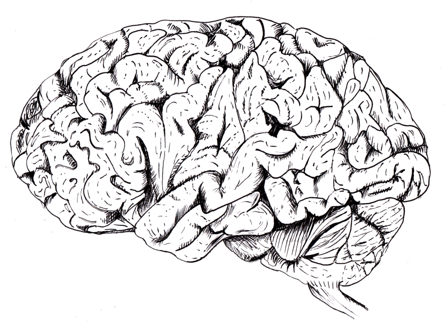 Related Categories - Mental Disorder (900x679)