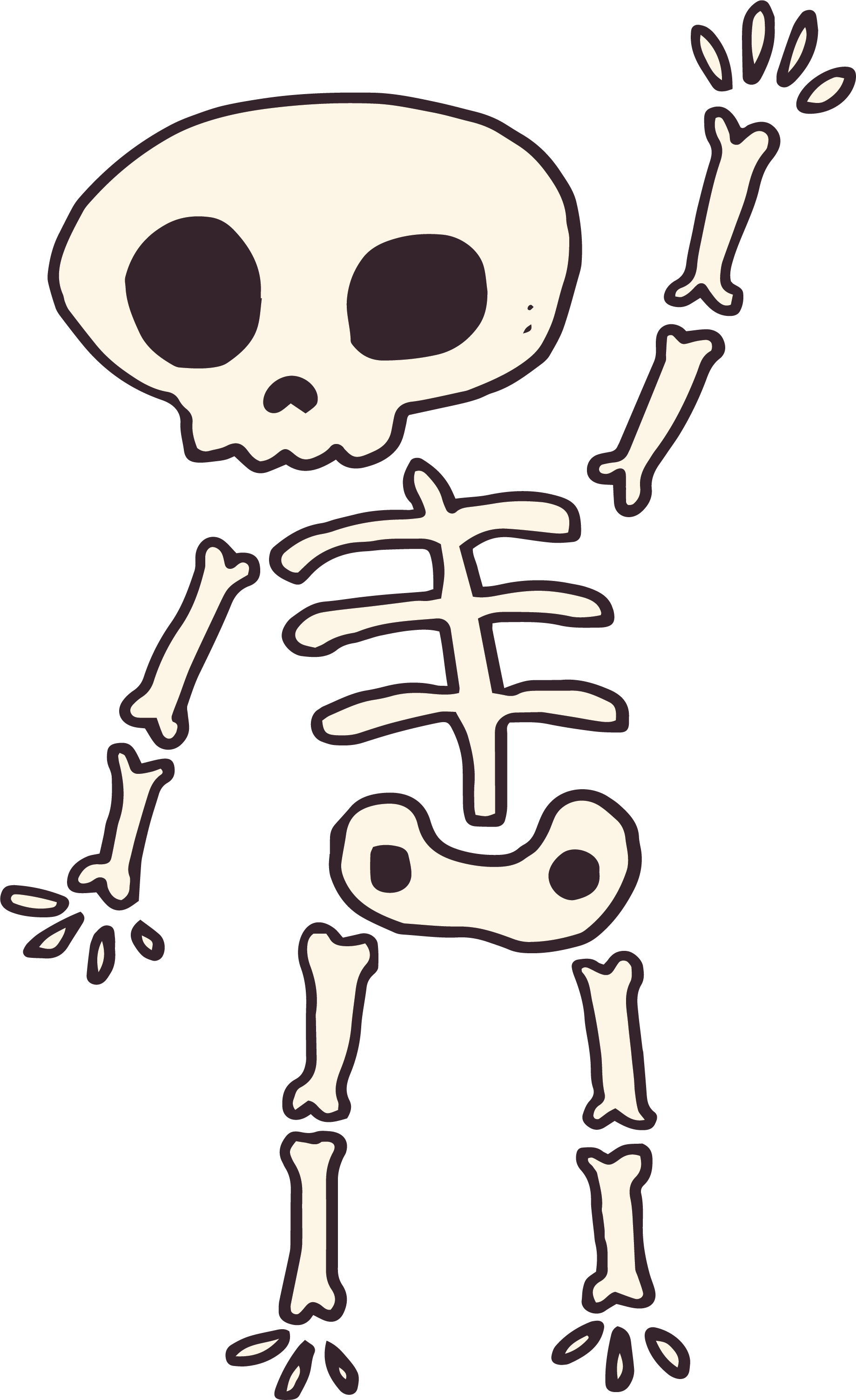Human Skeleton Computer File - Human Skeleton Computer File (1839x3005)