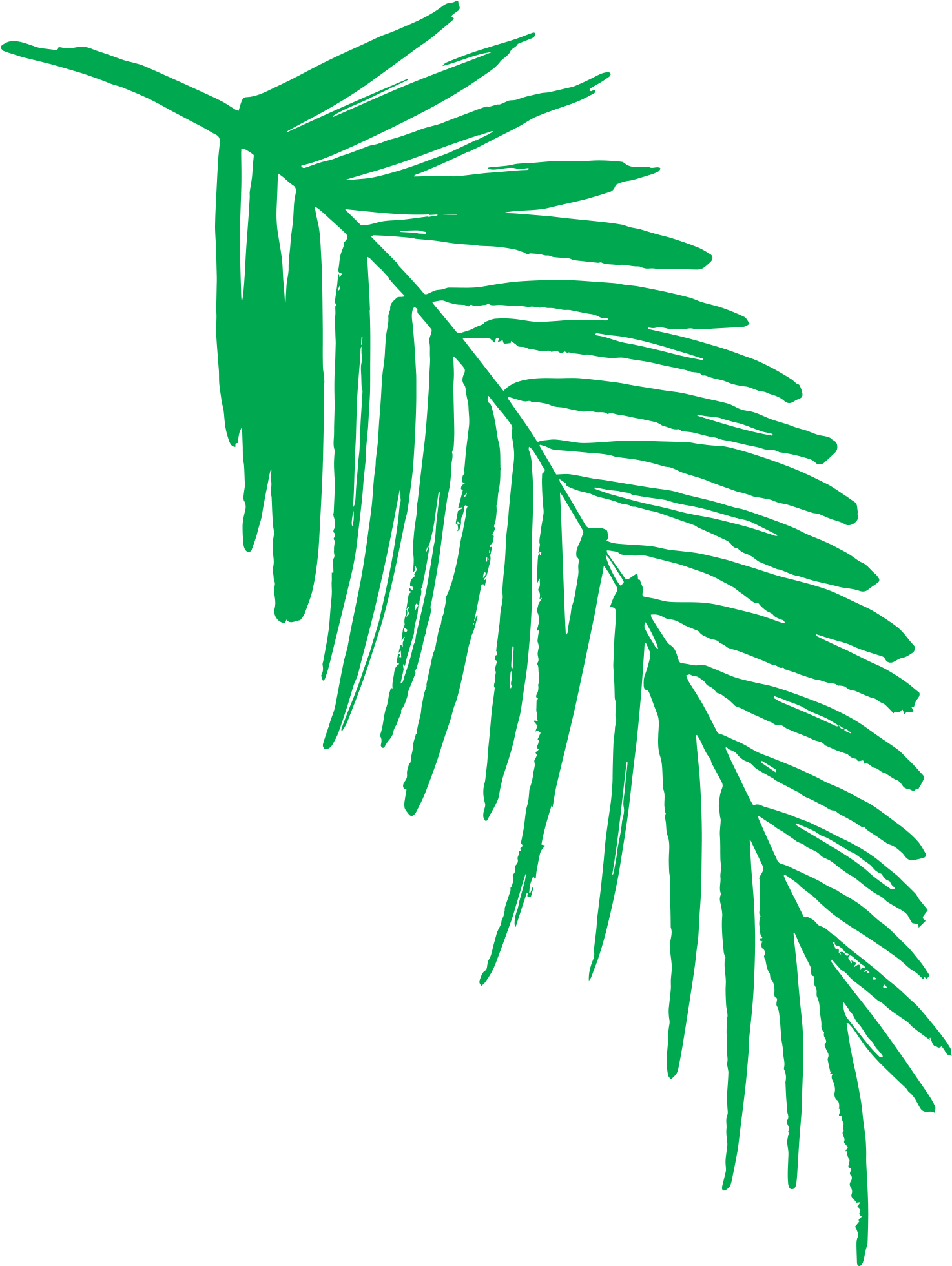 Color - Color (1559x2000)
