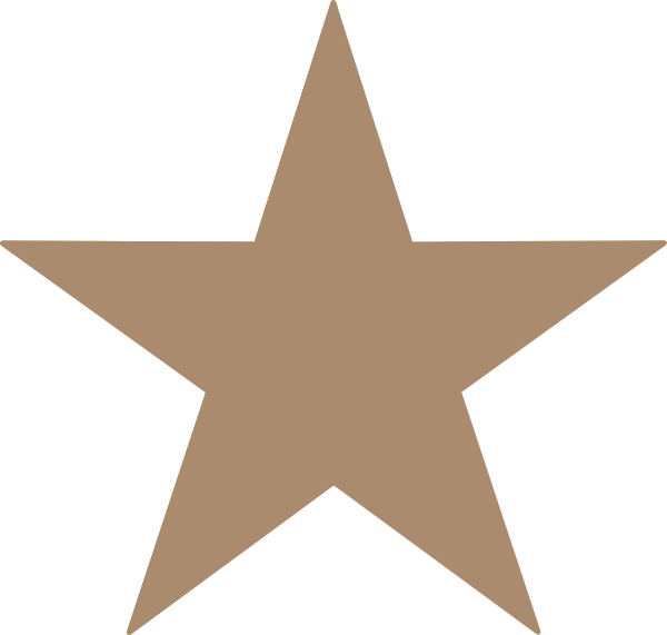 Star Vectior (600x571)