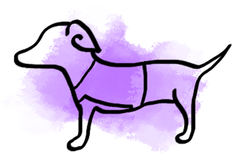 Don't Forget Your Pets - Dachshund (900x900)