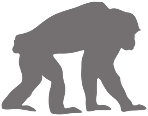 Chimpanzee - Silhouette (589x399)