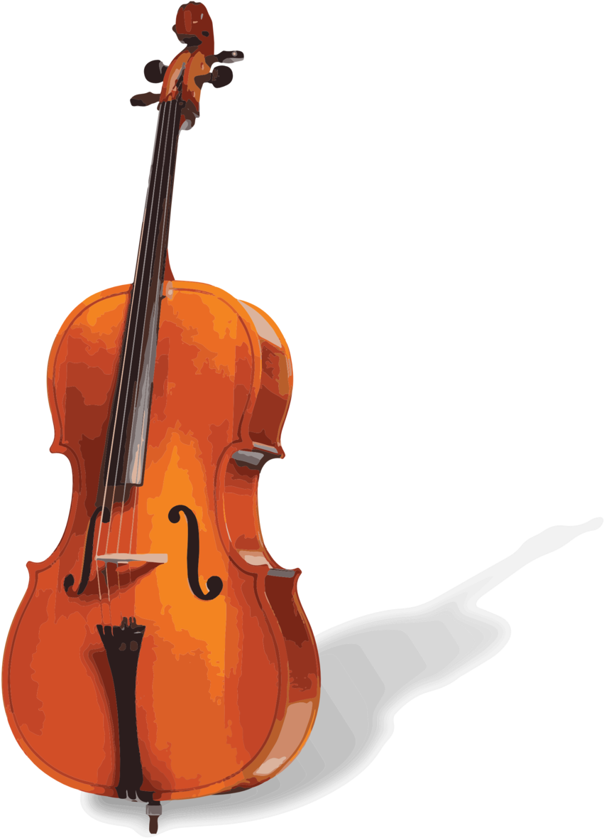 Cello - Cello Png (958x1257)