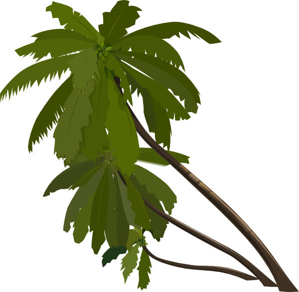 Palma Clipart (600x586)