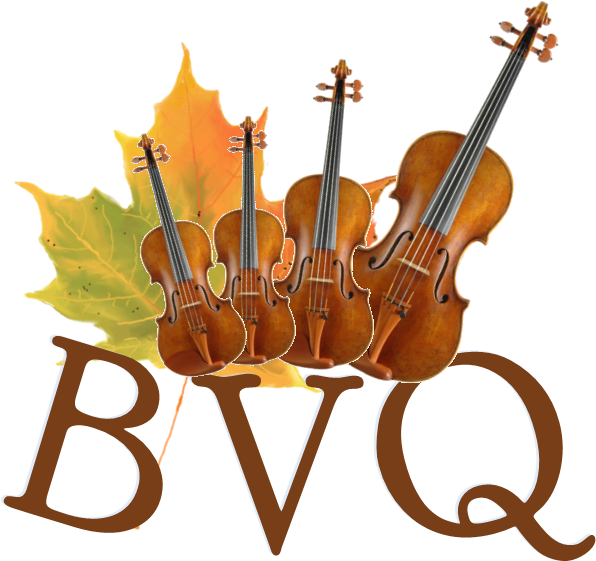 Bvq Logo - Portable Network Graphics (748x594)