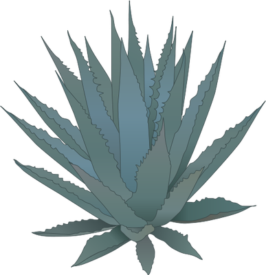 Agave - Agave (387x400)