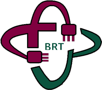Brainwave Research Technologies - Brainwave Research Technologies (464x387)