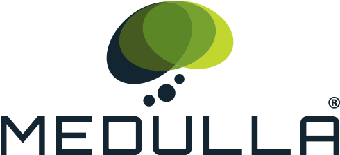 Employee Wellness Programs - Medulla Llc Logo (500x250)