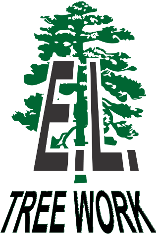 Tree Care, Logo - Weymouth (318x500)