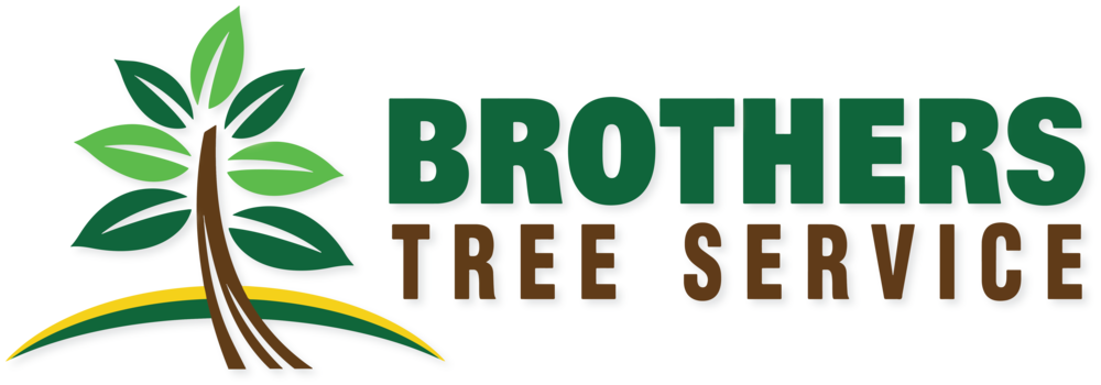   Tree (1000x350)