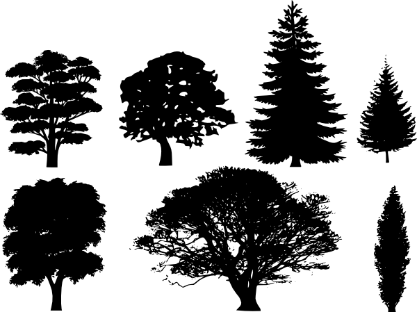Trees Silhouette Vector Png (600x449)