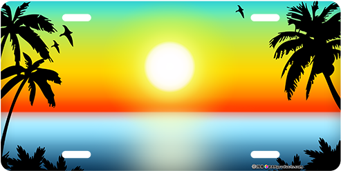 License Plate Backgrounds (500x500)