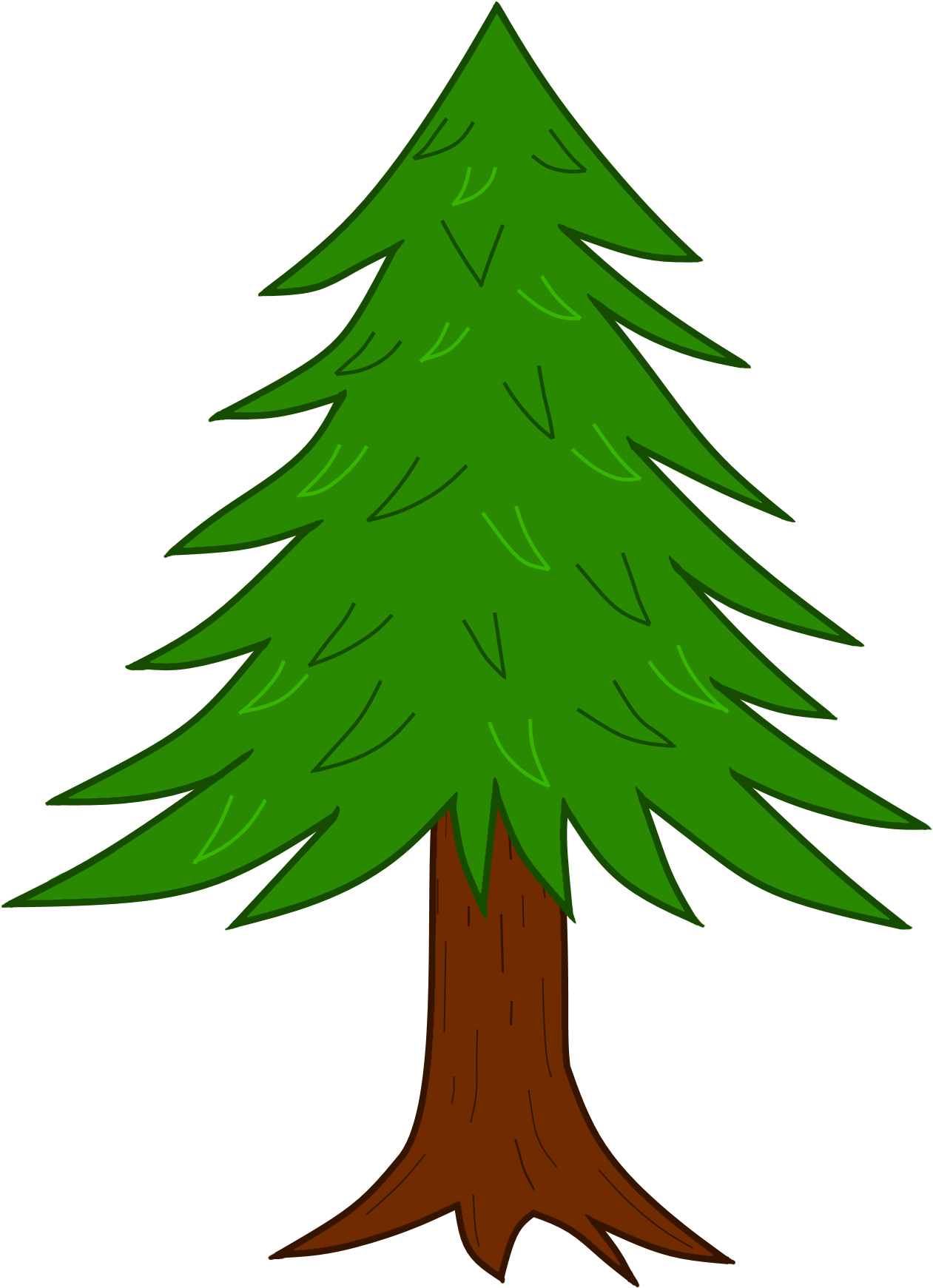 Coniferous-tree - Illustration (2400x1800)