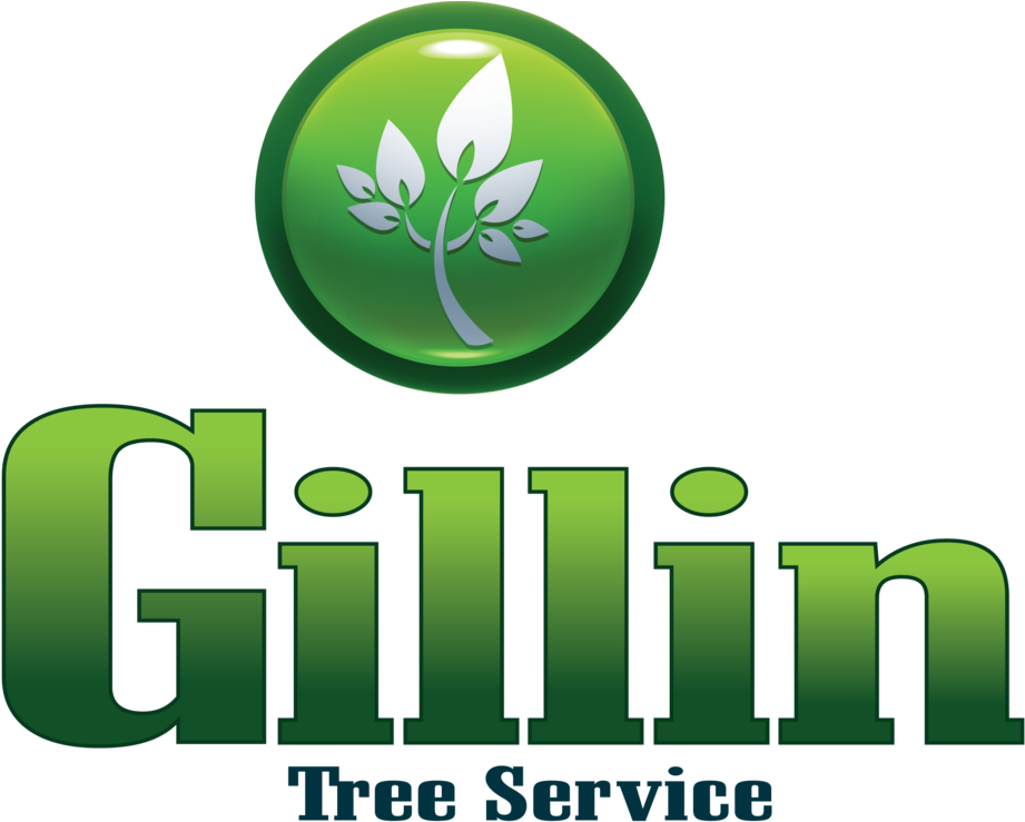 Gillin Tree - Gillin Tree (1000x788)