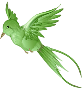 Parrot (350x350)
