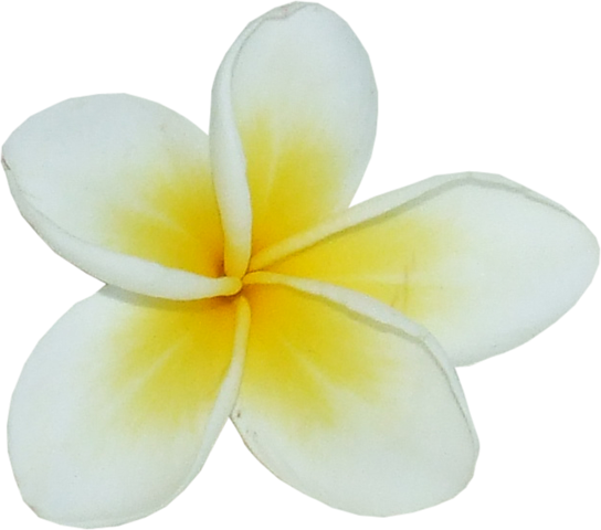 Fll-3 - Frangipani (544x480)