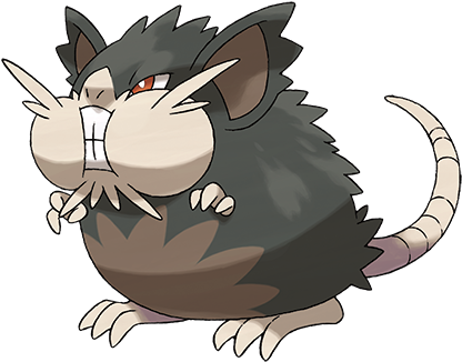 Alolan Raticate - Alolan Raticate (474x372)