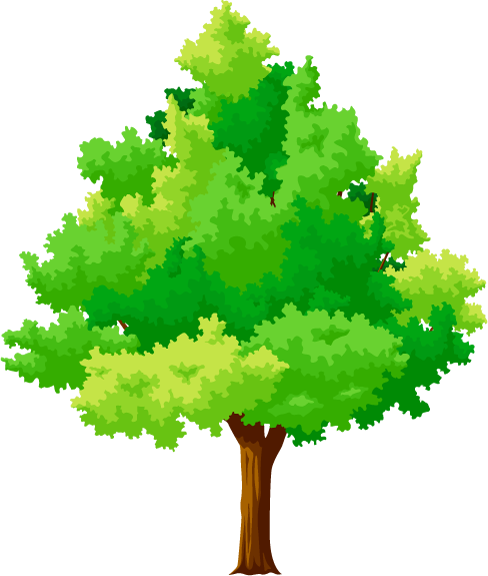 ในส่วนของกรมป่าไม้ - Vector Tree (488x576)