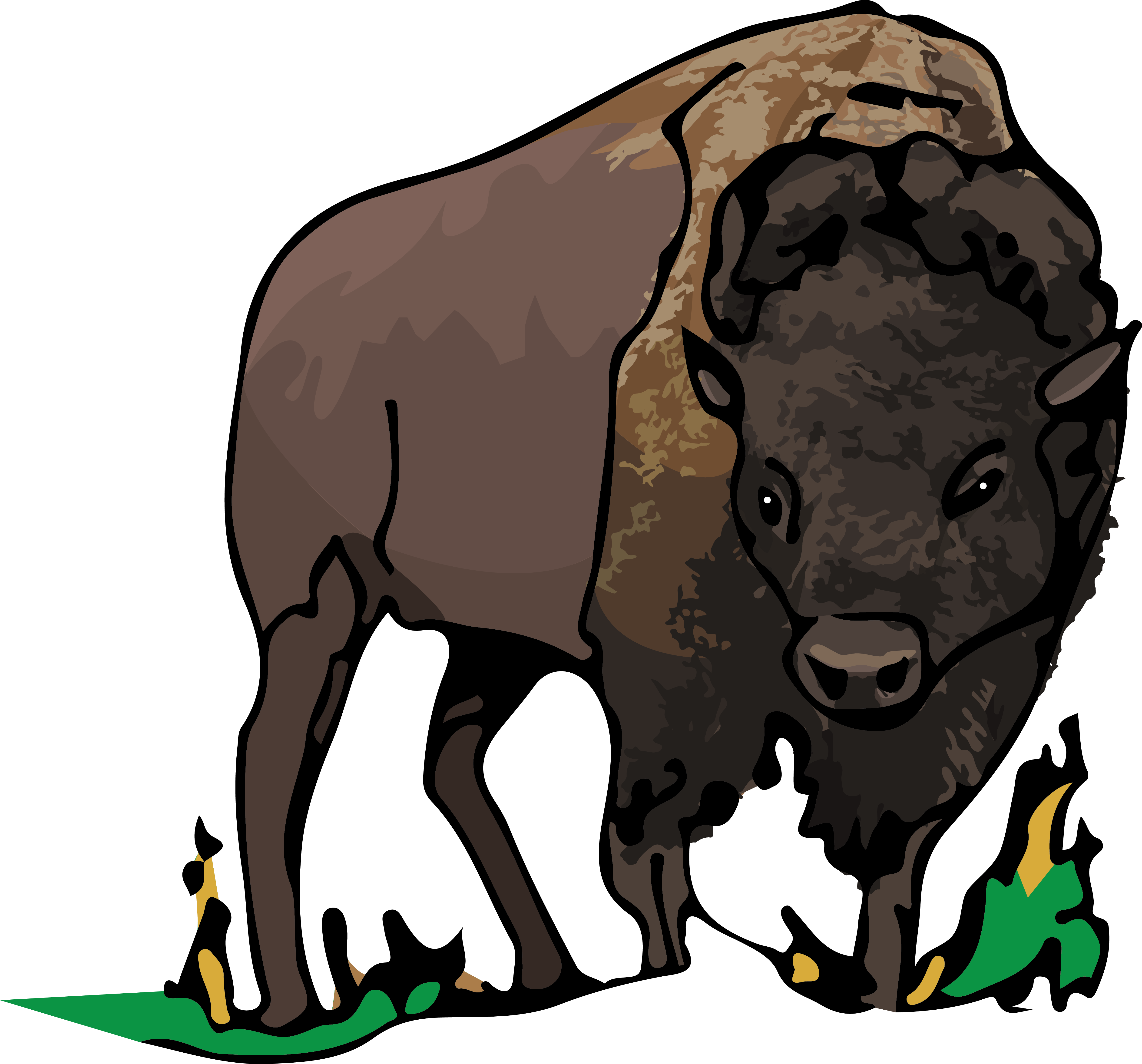 Bison - Bull (4913x4578)