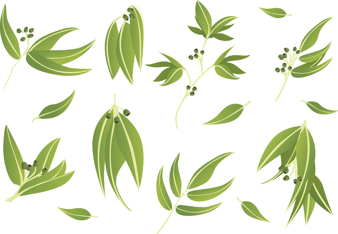 Gum Trees Leaf Euclidean Vector - Gum Trees Leaf Euclidean Vector (1123x779)