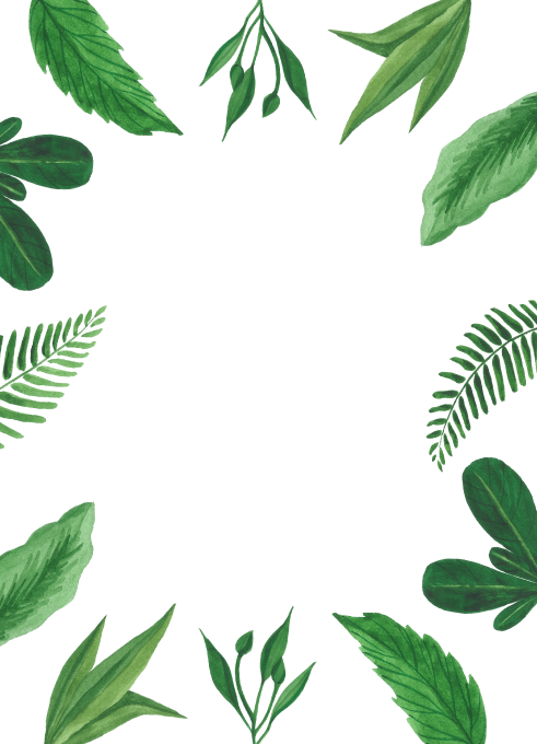 Tropical Leaf Wedding Invitation (491x680)