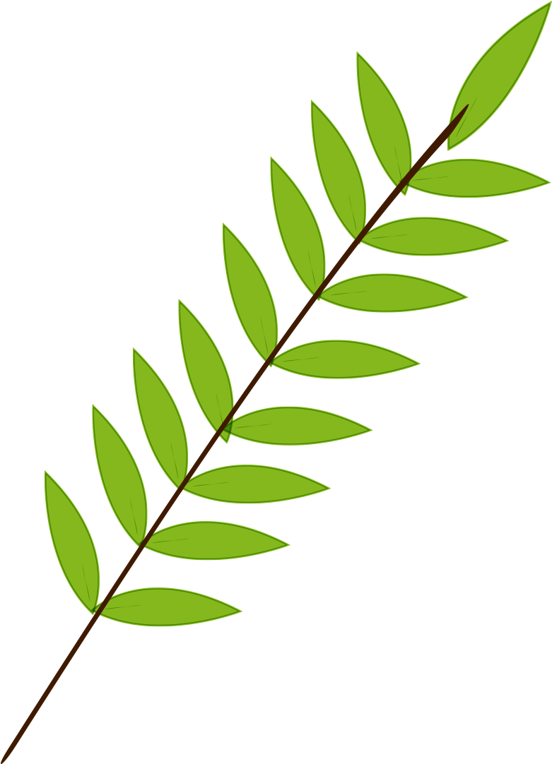 Branch Leaf Green - Leaf (1181x1181)