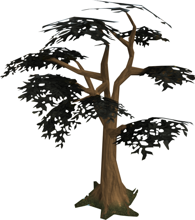 Wiki (648x731)