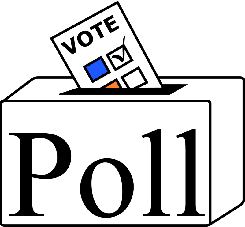 Election Process In India (800x800)