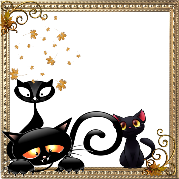 Black Cat Throw Blanket (600x600)
