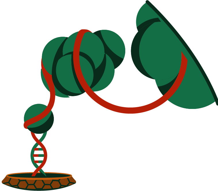 Dna - Dna (757x661)