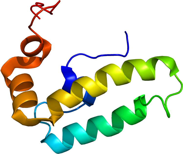Dnajb9 (798x681)