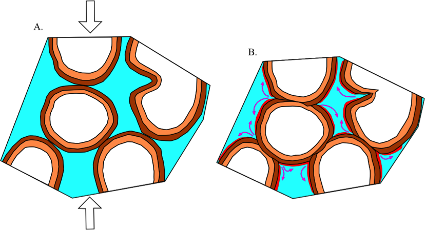 Fig8 - Fig8 (828x449)