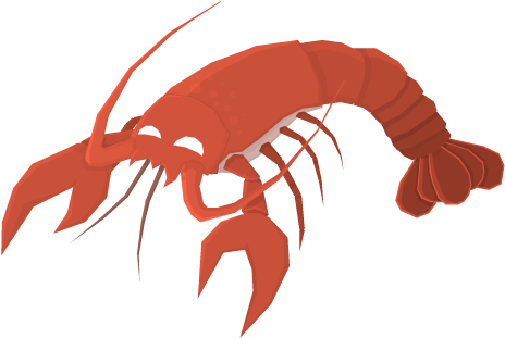 What - - Homarus (500x500)