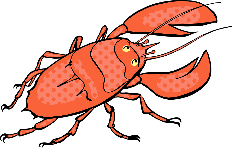 Shellfish Clipart 14, - Clip Art (960x612)