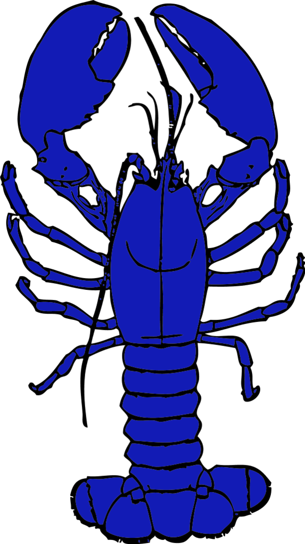 Vector Clip Art - Red Lobster Throw Blanket (600x1070)