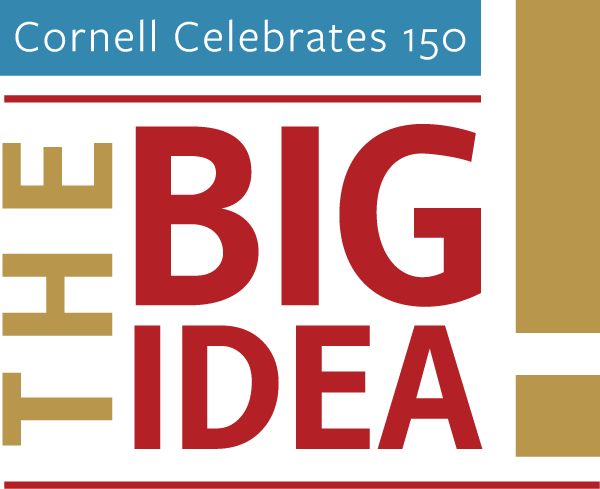 The Big Idea - Bereavision (600x489)