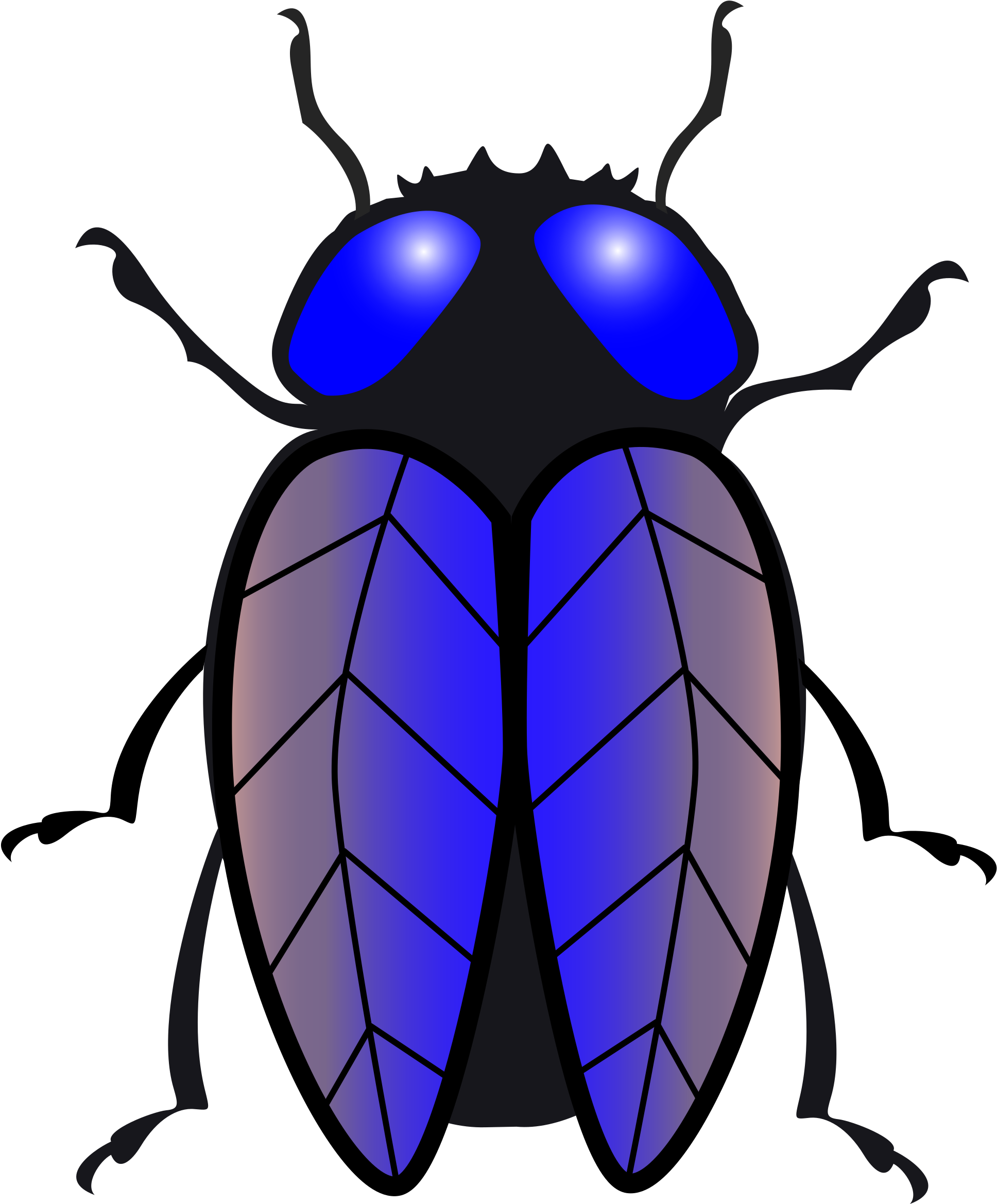 Open - Housefly (2007x2400)