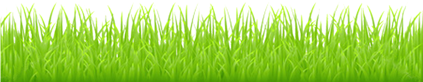 For This Example I Will Use This - Cartoon Grass Transparent Background (850x206)