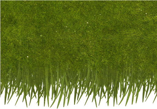 Generic Grassoverhang1 Col - Lawn (512x512)