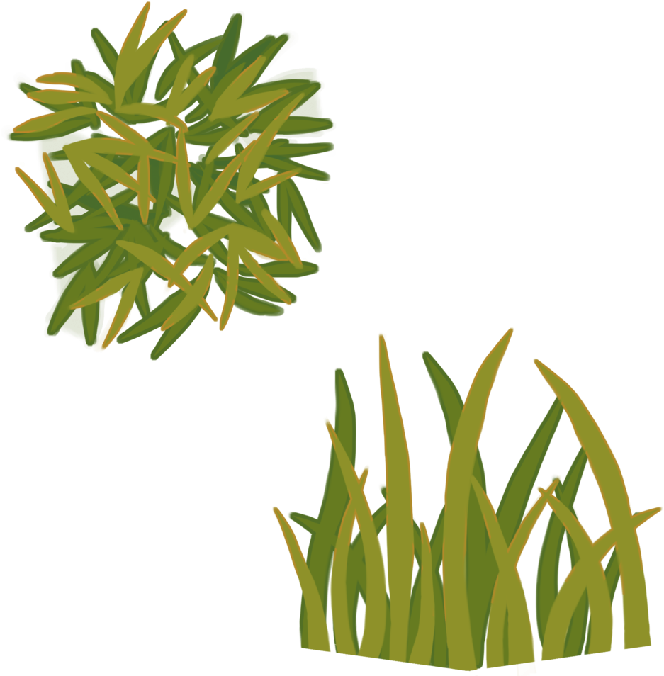 Grass Texture - Portable Network Graphics (1000x1000)