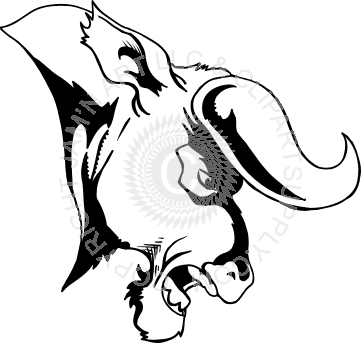 Bull Head Side View (361x343)