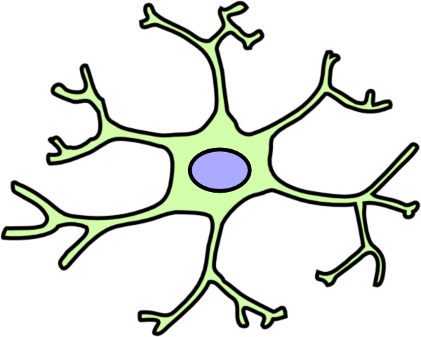 Astrocytes Cartoon (600x481)