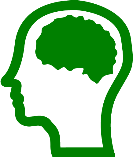 Orange Brain Icon (512x512)