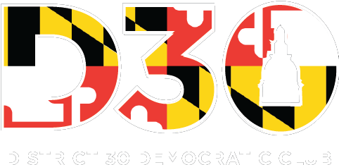 Democracy (482x252)